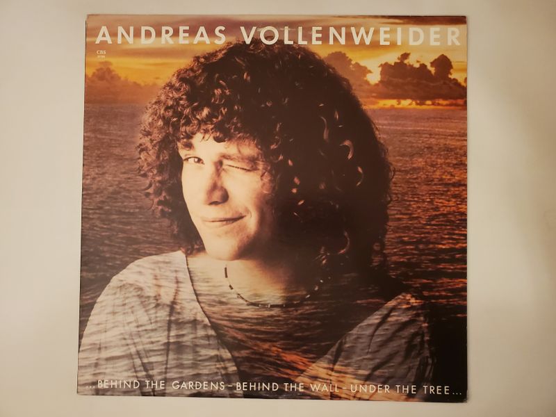 Andreas Vollenweider Behind the Gardens - Behind the Wall - Under the Tree... vinyl record